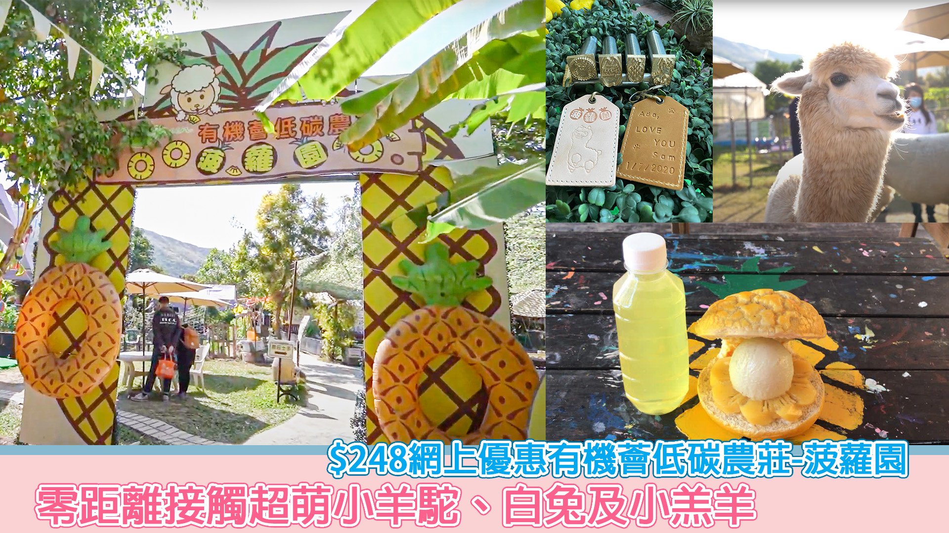 87+ 图片 菠蘿 園 新的 21 零距離接觸超萌小羊駝、白兔及小羔羊$248網上優惠有機薈低碳農莊-菠蘿園– Sesame Note 芝麻筆記